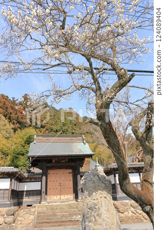 Akiruno City Daimonji Temple Akiruno City Daimonji Temple 124089404