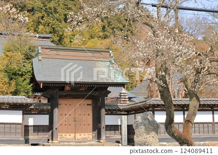 Akiruno City Daimonji Temple 124089411