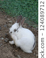 Rabbit Rabbit 124089712