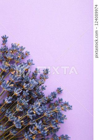 Small bouquet of a dried lavender on purple background. Vertical photo Small bouquet of a dried lavender on purple background. Vertical photo 124089974