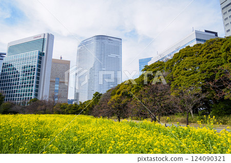 Hamarikyu春天 Hamarikyu春天 124090321