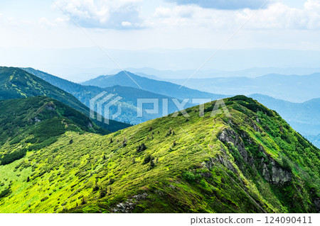 Lush green grass covered mountain meadows in summer time Lush green grass covered mountain meadows in summer time 124090411