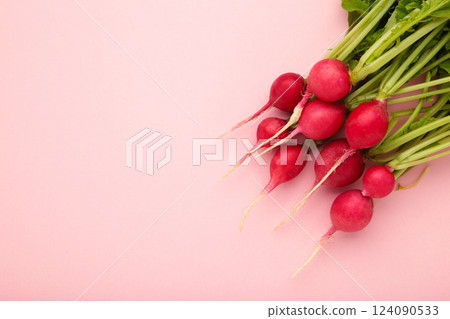 Fresh radishes on pink background. Space for text 124090533