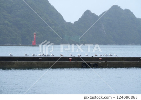 A seagull resting its wings on a pier on a rainy early morning A seagull resting its wings on a pier on a rainy early morning 124090863