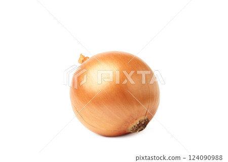 Onion isolated on a white background. Top view 124090988