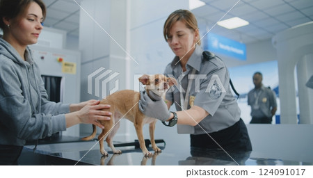 Airport Terminal: Female TSA Officer Scanning Dog Using Metal Detector, Placing in Carrier Airport Terminal: Female TSA Officer Scanning Dog Using Metal Detector, Placing in Carrier 124091017