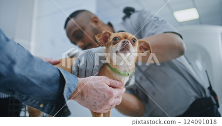 Security Officer Inspecting Dog, Placing in Carrying Case. TSA Pets Screening Procedures 124091018