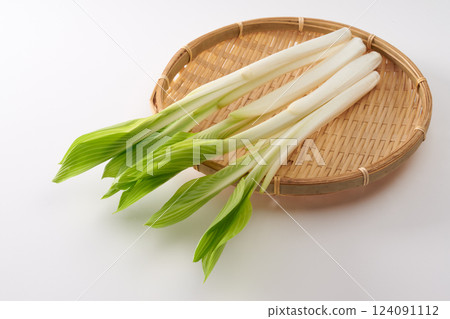 Wild plants, Urui, image Wild plants, Urui, image 124091112
