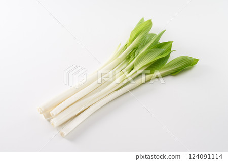 Wild plants, Urui, image Wild plants, Urui, image 124091114