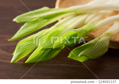 Wild plants, Urui, image Wild plants, Urui, image 124091137