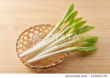 野生植物,Urui,圖像 野生植物,Urui,圖像 124091145