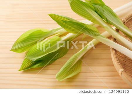 野生植物,Urui,圖像 野生植物,Urui,圖像 124091150