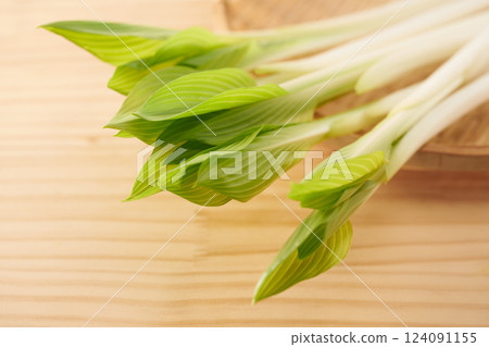 Wild plants, Urui, image Wild plants, Urui, image 124091155