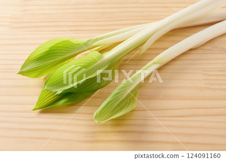 野生植物,Urui,圖像 野生植物,Urui,圖像 124091160