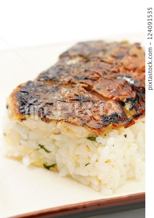 Grilled mackerel sushi 124091535