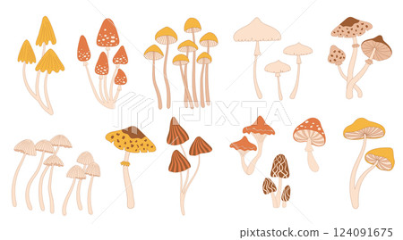 Poisonous mushrooms. Hippie psychedelic mushrooms 124091675