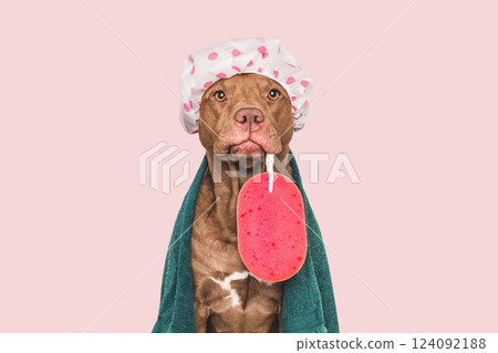 Cute dog, shower cap, washcloth and blue towel 124092188