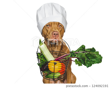 Lovable puppy and small basket of fresh vegetables 124092191