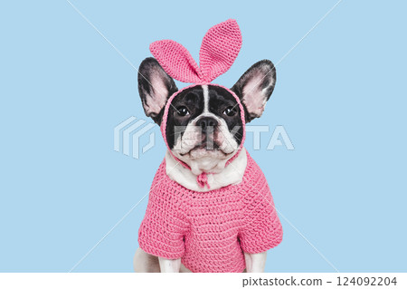 Lovable, pretty puppy and bunny ears. Close-up 124092204