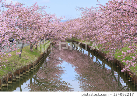 s松川津櫻路 124092217