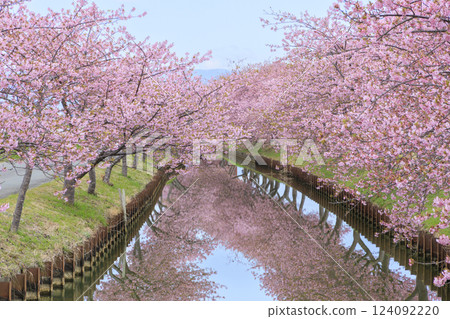 s松川津櫻路 124092220