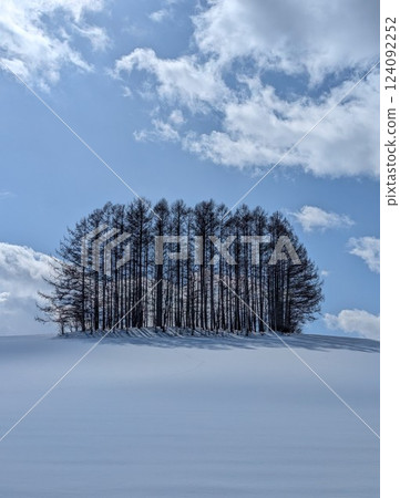 Biei Mild Seven Hill 124092252