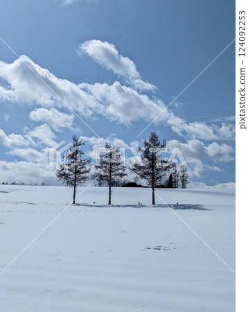 Biei no Oka 124092253