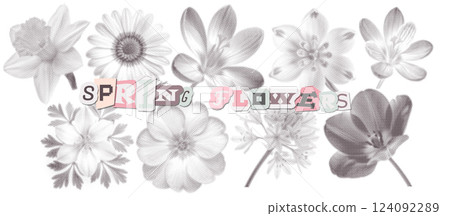 Cutout monochrome spring Halftone Flowers Set. Contemporary collage elements in a retro pop art style. Clipping scrapbook stickers. Vintage springtime herbarium. Vector Cutout monochrome spring Halftone Flowers Set. Contemporary collage elements in a retro pop art style. Clipping scrapbook stickers. Vintage springtime herbarium. Vector 124092289
