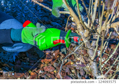 Gardener trimming bush with mini electric saw. Hands in work gloves trim tree branches with hand garden saw and trim trees. 124093575