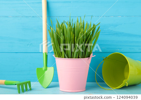 Grass and spatula on blue background. Food for your beloved pet concept 124094039