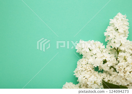 Spring background with lilac flowers. Space for text Spring background with lilac flowers. Space for text 124094273