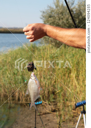 Caught fish hanging on fishing rod close-up photo, lake in the background, outdoors. focus on fish. hobby, activity, leisure, fishing concept. Vertical photo Caught fish hanging on fishing rod close-up photo, lake in the background, outdoors. focus on fish. hobby, activity, leisure, fishing concept. Vertical photo 124094285