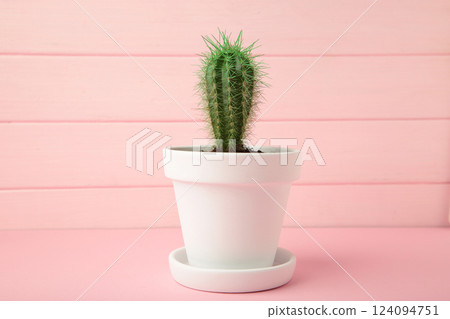 Small cactus in white flowerpot on pink wooden background. Space for text Small cactus in white flowerpot on pink wooden background. Space for text 124094751