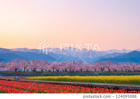 Asahi Funakawa Spring Quartet Asahi Funakawa Spring Quartet 124095086