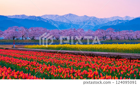 Asahi Funakawa Spring Quartet 124095091