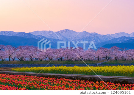 Asahi Funakawa Spring Quartet 124095101