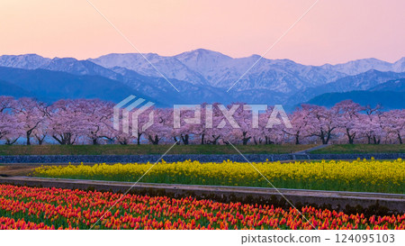 朝日船川春天四重奏 124095103