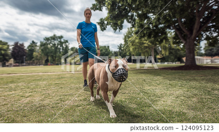 Bulldog wearing protective gear Bulldog wearing protective gear 124095123