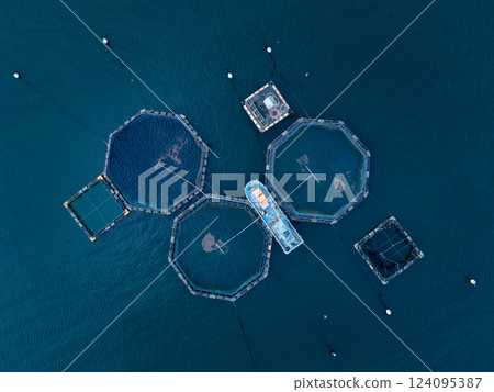 DJI_0060.DNG Aquaculture rafts and fishing boats on the sea 124095387