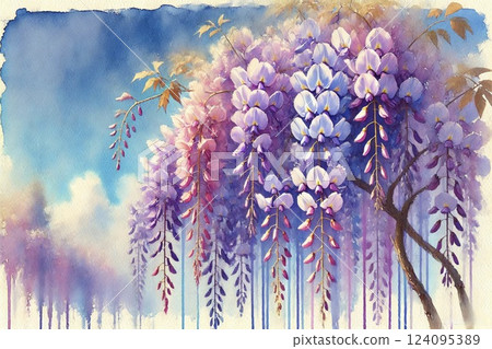 藤澤,紫藤花 藤澤,紫藤花 124095389