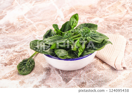 Fresh green spinach leaves heap Fresh green spinach leaves heap 124095438
