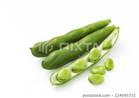 Broad beans on a white background 124095732