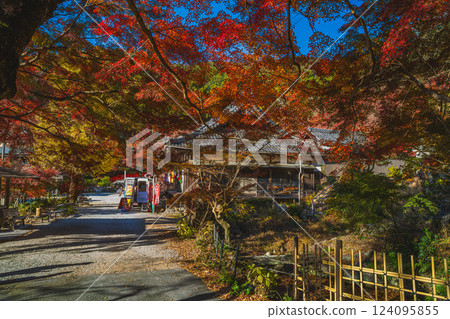 Scenery of Fumonji Temple surrounded by autumn leaves in Toyohashi City (Aichi Prefecture) 124095855