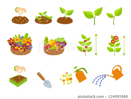 Infographic element collection. Creation set for plant growth stages infographics. Phases plant growing. 124095866