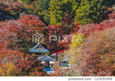 Scenery of Fumonji Temple surrounded by autumn leaves in Toyohashi City (Aichi Prefecture) Scenery of Fumonji Temple surrounded by autumn leaves in Toyohashi City (Aichi Prefecture) 124095908