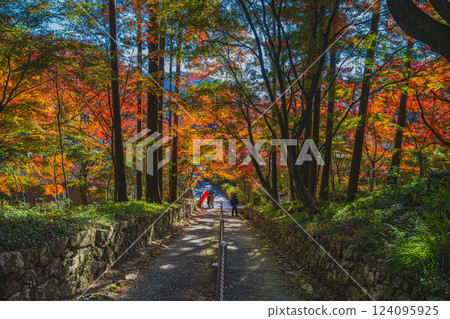 Scenery of Fumonji Temple surrounded by autumn leaves in Toyohashi City (Aichi Prefecture) 124095925