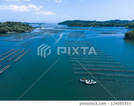 Oyster farming facilities spread out over the blue sea Oyster farming facilities spread out over the blue sea 124095933