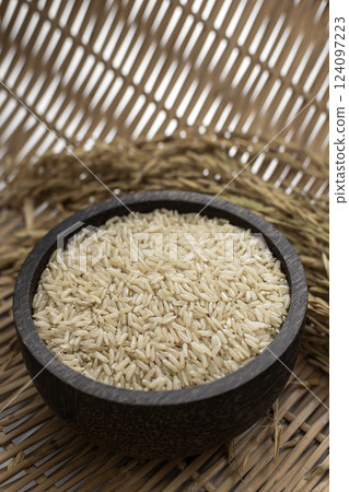 unhulled asian brown rice grains in rustic setting display in Cambodia 124097223