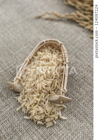 unhulled asian brown rice grains in rustic setting display in Cambodia 124097224