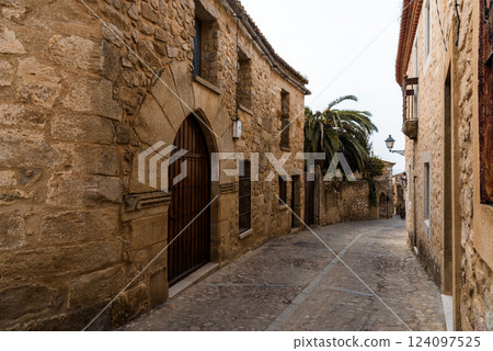 Explore a winding cobblestone street surrounded by historic stone buildings in Trujillo, Spain. 124097525
